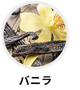 バニラ
