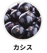 カシス